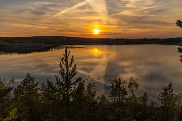 Birch and pine trees with green leaves are by a lake in a park in the evening. Sunset