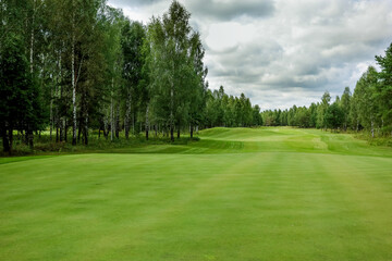 Golf course, landscape, green grass on the background of the forest and a bright sky with clouds. High quality photo