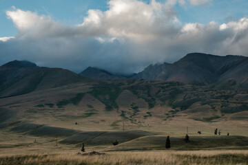 View of the Kurai steppes in the Altai Mountains