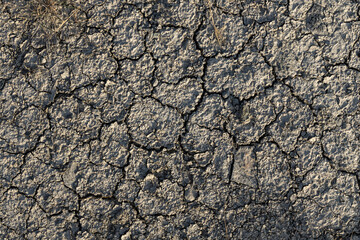 Beautiful texture of Gray soil with cracks is outside in summer