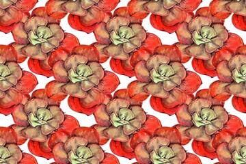 Succulent seamless pattern, watercolor hand drawing illustration, plant background