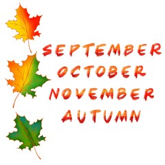 autumn leaves with months hand letter 