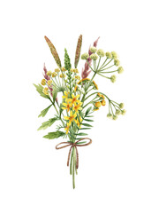 Bouquet of wild flowers in watercolor