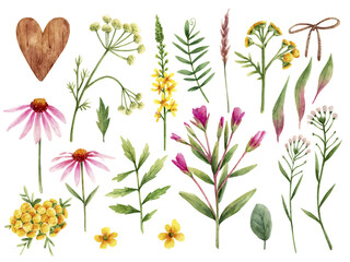 Clipart with wild flowers