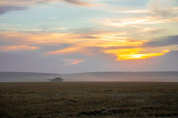 
At sunset, the harvester harvests wheat in the field, evening sky, general plan.