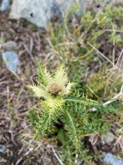 bonneval sur arc - cirque des Évettes