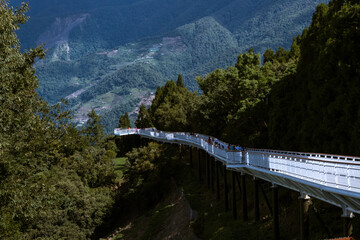 Bridge beside the forest, Taiwan