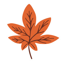 Orange autumn chestnut leaf vector illustration. Isolated on a white.
