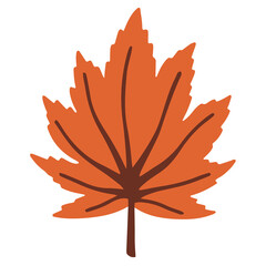 Maple orange autumn leaf vector illustration. Isolated on a white.