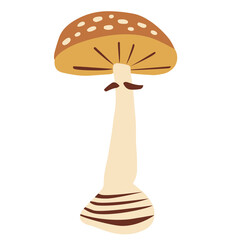 Red poison mushroom amanita muscaria. Isolated on white background, vector illustration.