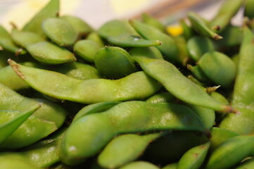 夏の定番のおつまみ、枝豆