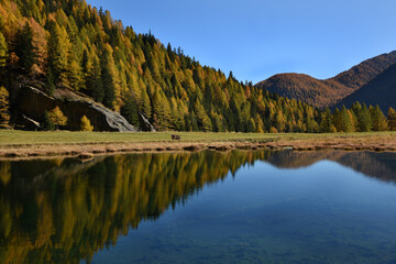 lago autunno autunnale colori autunno