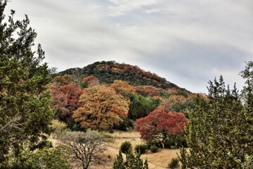 Obraz premium Fall in Oatmeal Texas