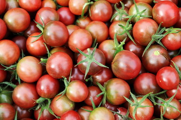 Cherry black tomatoes for background, cherry tomatoes for wallpaper