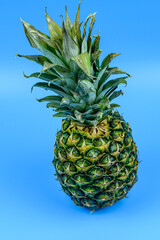 Whole ripe pineapple on the blue background