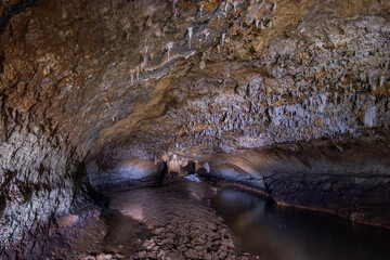 water dragon in the cave