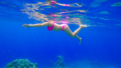 Fototapeta na wymiar a young beautiful girl with a beautiful figure swims in the red sea is engaged in snorkeling