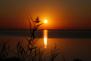 Amanecer Delta del Ebro