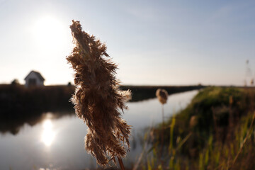 Delta del Ebro, Catalunya