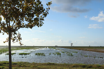 Delta del Ebro, Catalunya