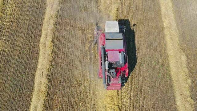 Top view of combine harvester harvesting wheat.
Combine harvester harvesting ripe golden wheat on the large wheat field.  The image of the agricultural industry.