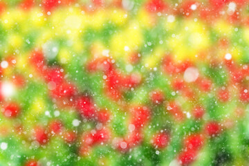 blurry multicolored background with snowflakes for Christmas or holiday design