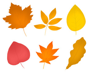 Naklejka premium Hello autumn, autumn leaves flat, colored leaves isolated set autumn elements autumn holidays yellow leaves