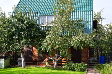 View of a garden and dacha plot on a summer day in Central Russia.
