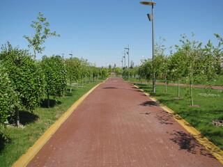 Walking path in the park