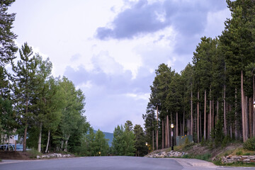 Solitary neighborhood road with tree-lined street in Breckenridge, Colorado, USA