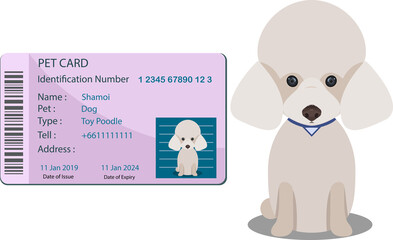 Pet identify card design Vector illustration template
