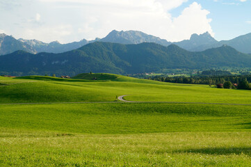 a scenic Bavarian countryside surrounded by succulent green meadows in Allgau or Allgaeu region in Bavaria with the Alps in the background on a cloudy summer day (Germany)