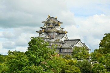 Fototapeta premium 岡山城 天守閣