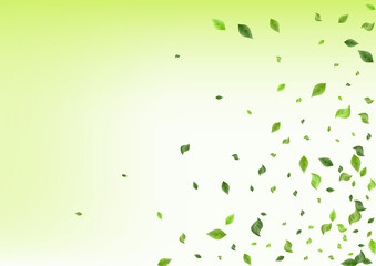 Swamp Leaves Falling Vector Green Background
