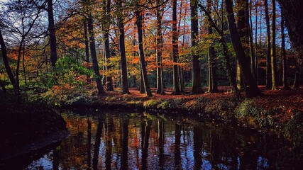 Autumn vibes