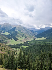 beautiful landscape with mountains covered with forest on the background of the sky with clouds.