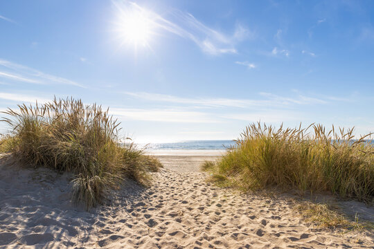 path to the beach through sand dunes