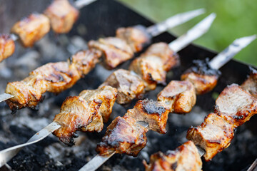 Barbecue meat on skewers. Cooking shashlik on the mangal in nature. Grilled kebab cooking on metal skewer. Home picnic
