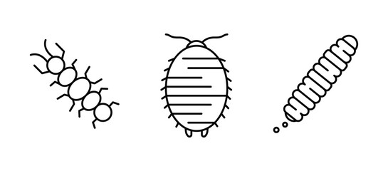 Insect icon set. Centipede, worm and similar reptile icon set. Set for my insect family concept. Linear icons set.