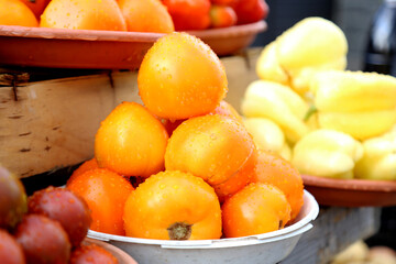 Tomatoes selling on local farm market, eco vegetables, juicy products. Shopping organic products. Healthy grocery
