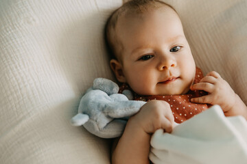 Closeup portrait of a three months old baby hugging a plush toy.