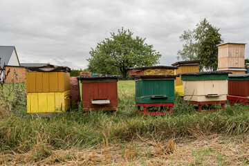 Fototapeta na wymiar Private beekeeping farm in Poland.