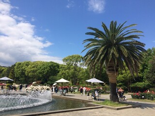 晴れた日の公園