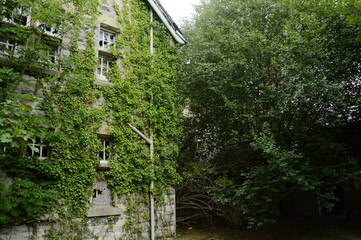 the outside of an abandoned asylum in wales