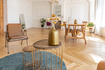 luxury interior of a spacious apartment in an old 19th century historical house with modern furniture. high ceiling and walls are decorated with stucco
