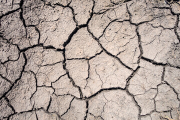 Cracked by the heat long lifeless soil, dry ground - 454958443