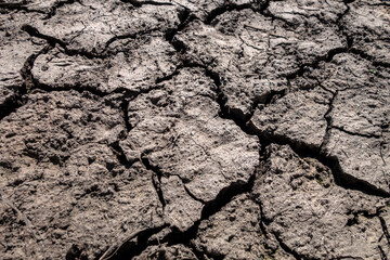 Close-up of cracked dry soil. - 454958448