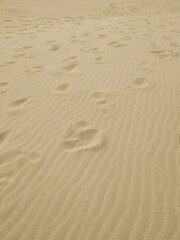 dune du pyla