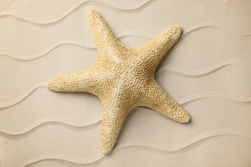Fototapeta na wymiar Beautiful sea star on sand, top view