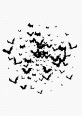 Black Vampire Fly Vector Transparent Background.